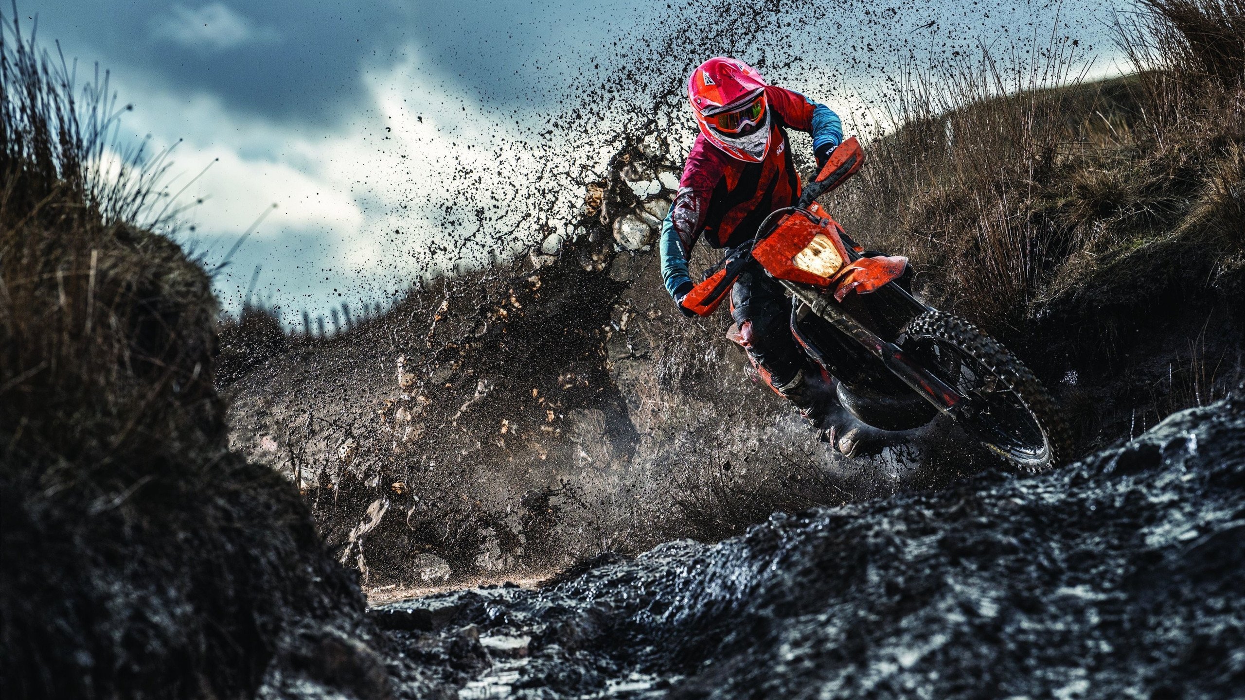 北美主场buff拉满！外媒预测S16将成为史上最激烈全球赛，s11北美s赛有哪几个队伍